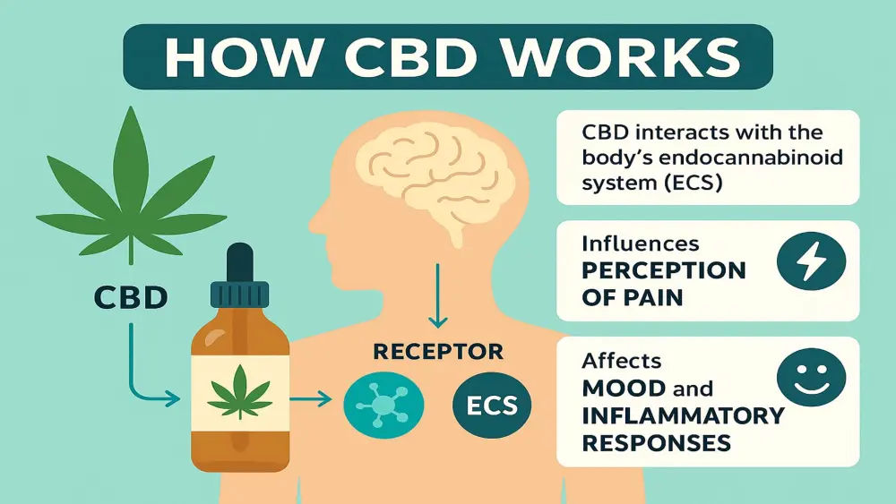 Graph showing the effect of CBD on pain signals