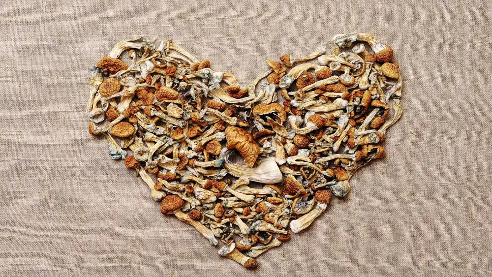 Heart-shaped illustration representing psilocybin and magic mushrooms