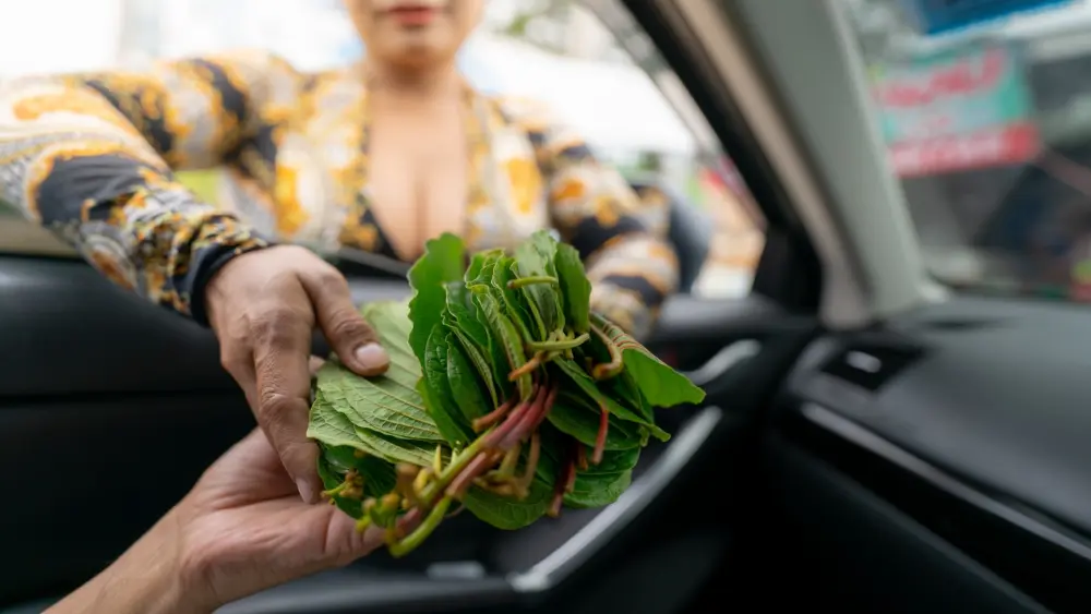 woman selling kratom leaves to car driver