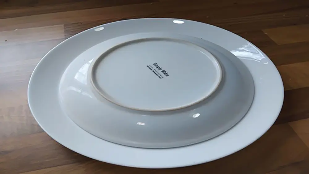 The dinner plates should cover the tissue to keep them in darkness whilst germinating