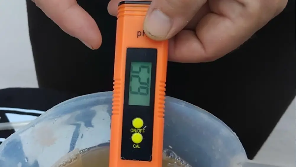 Grower using a digital pH pen to measure nutrient solution before feeding cannabis plants