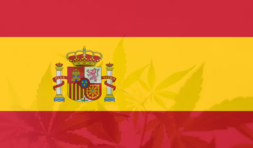 Spain cannabis