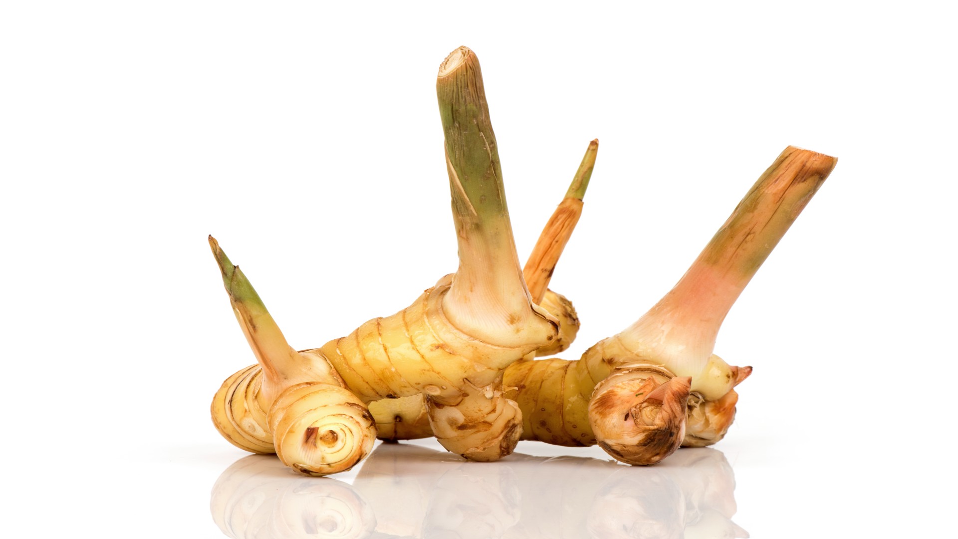 Galangal in historical use and modern interest