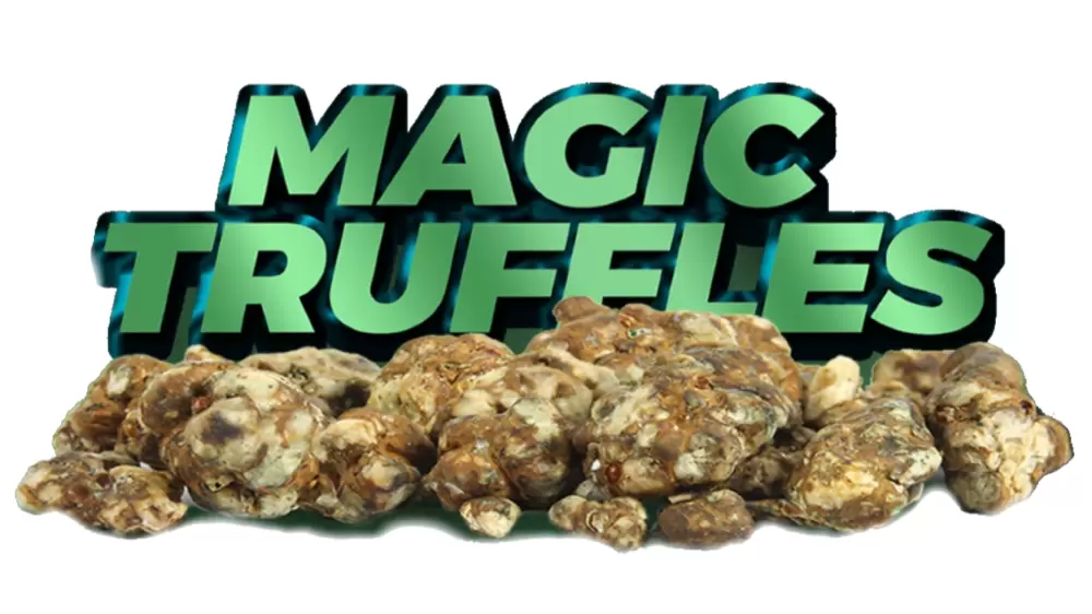 magic psilocybin truffles