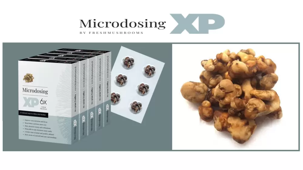 microdosing truffles