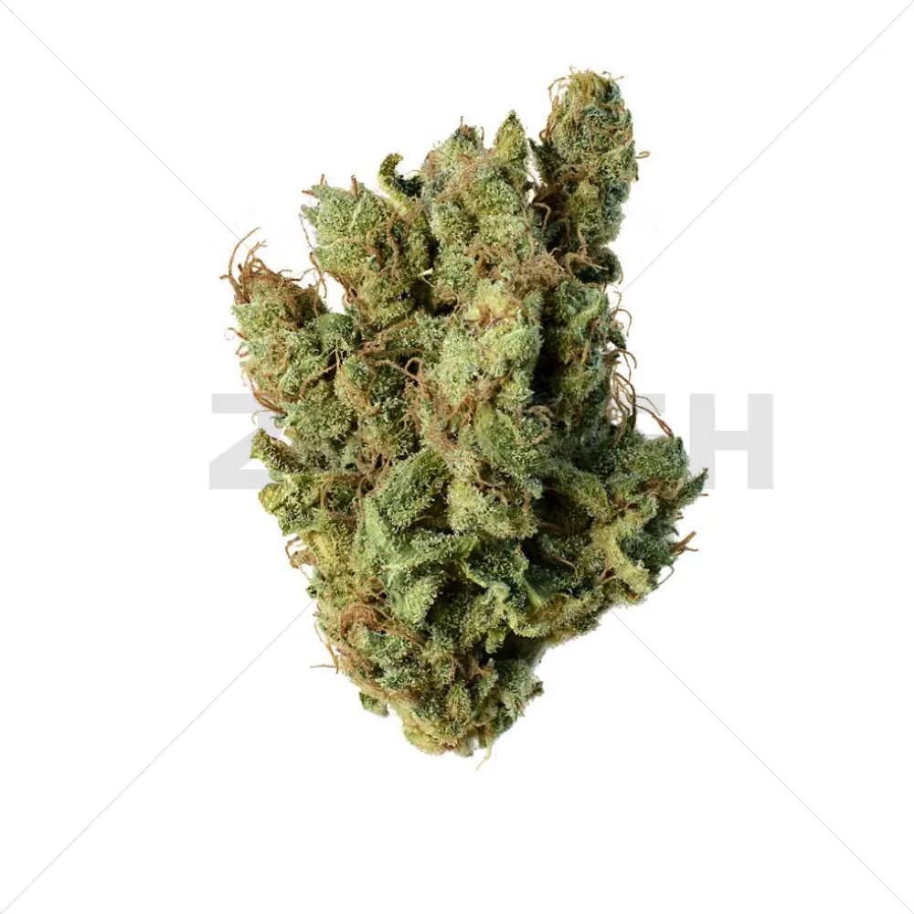 Super Silver Haze (Amsterdam Genetics) Feminized