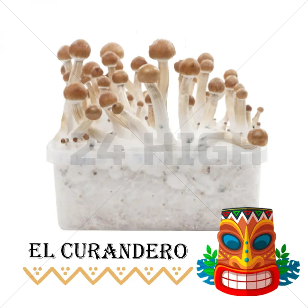 El Curandero