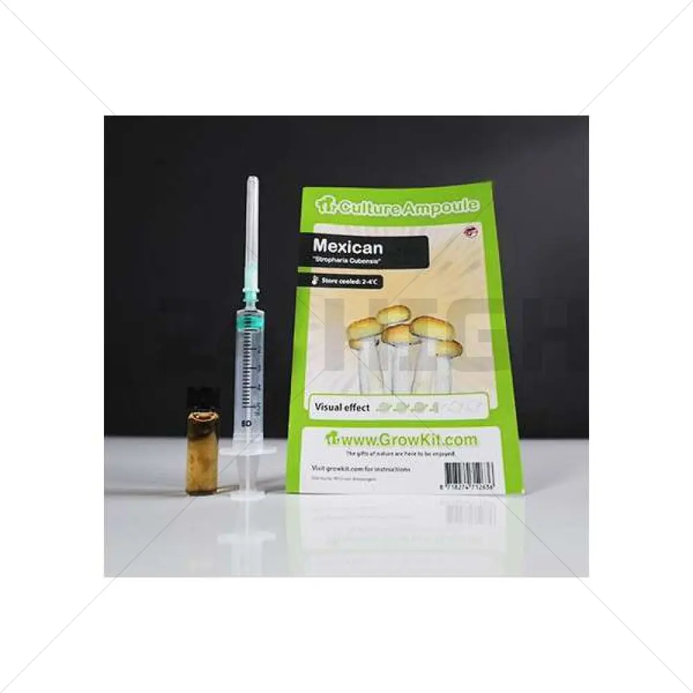 Mexican Culture Ampoule