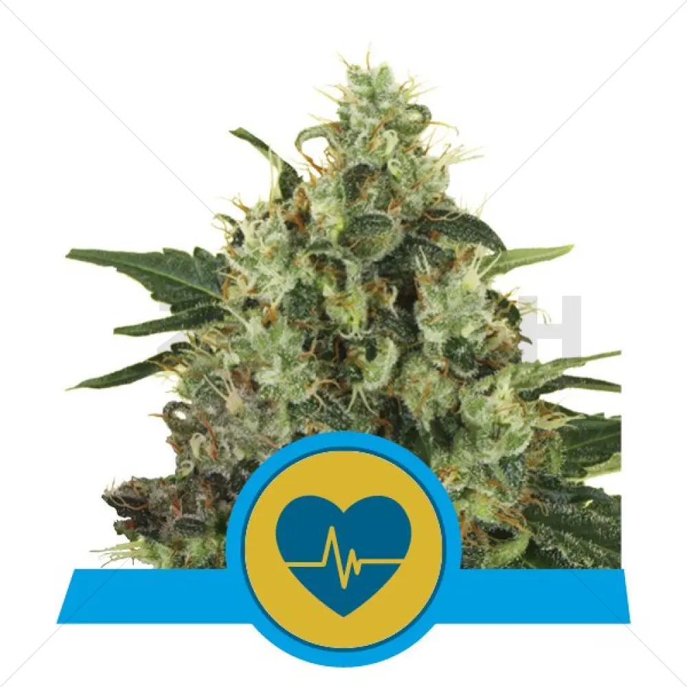 Medical Mass (RQS)