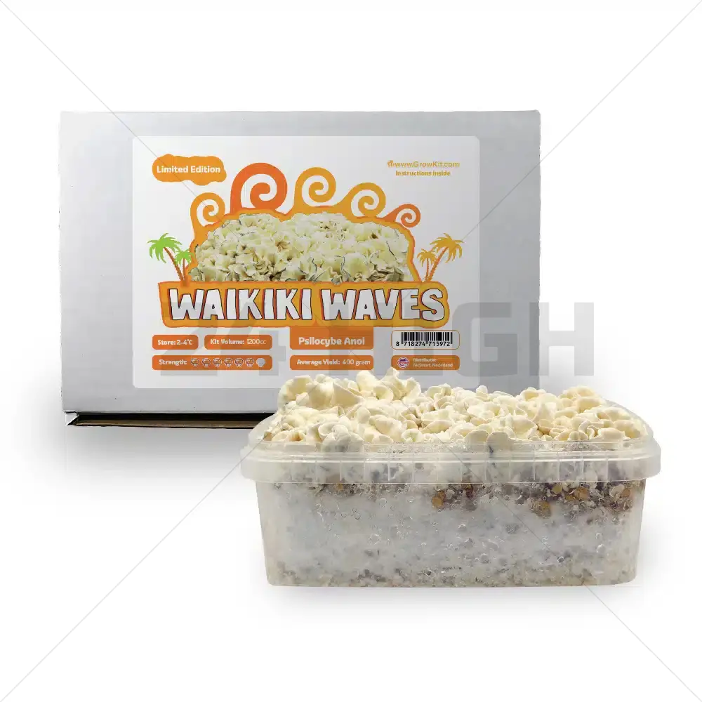 Waikiki Waves Growkit