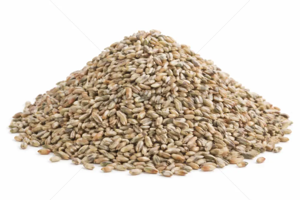 Rey Grain -1000 GR
