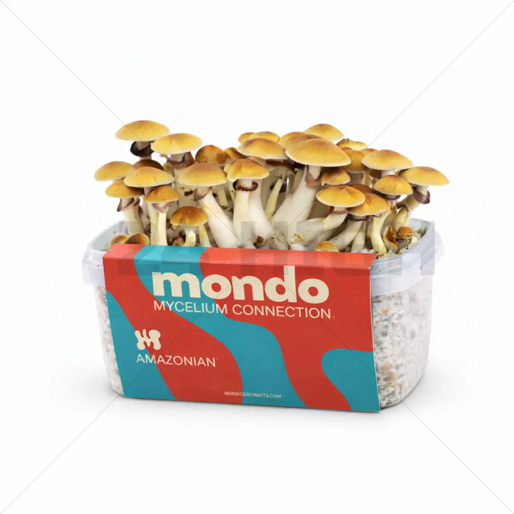 Mondo Grow Kit Amazonian