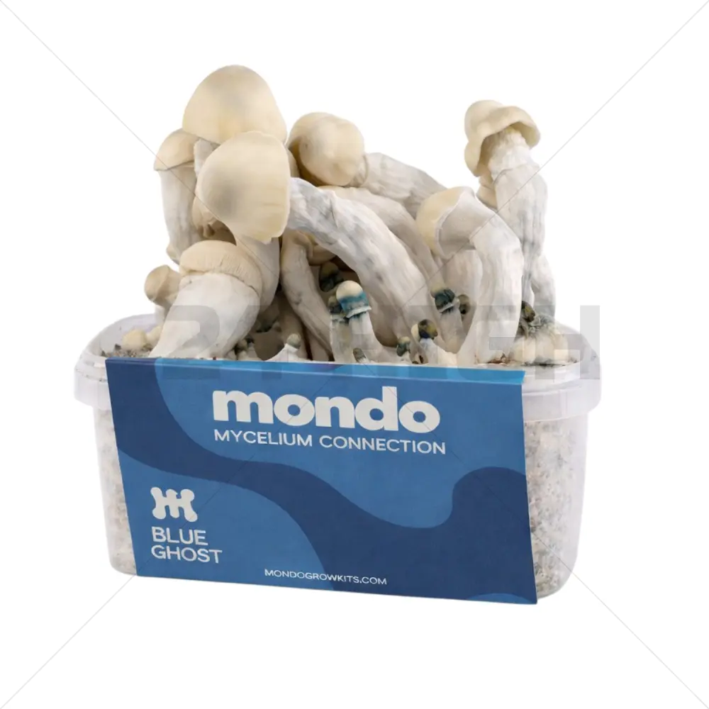 Mondo Growkit Blue Ghost Hybrid