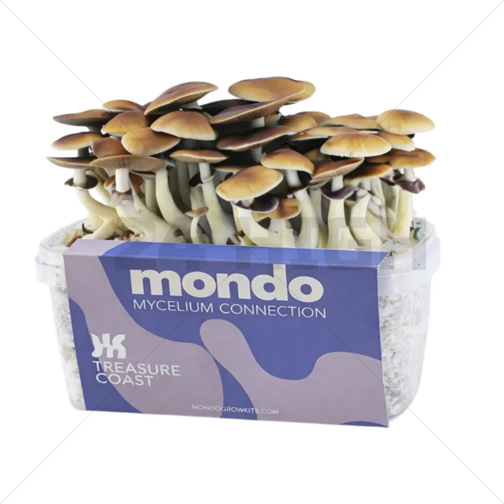 Mondo Grow Kit Treasure Coast 