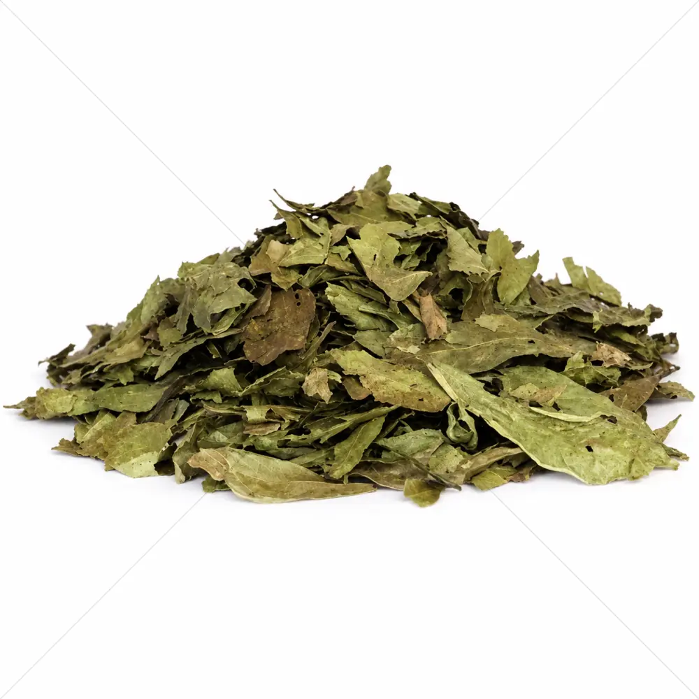 Chacruna (Psychotria viridis) Leaves – 50 grams