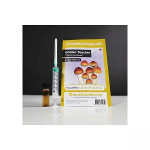 Golden Teacher Culture Ampoule