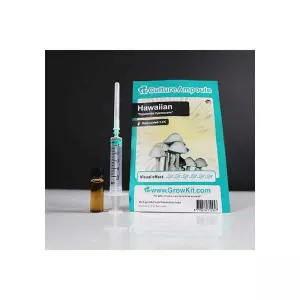 Hawaiian Culture Ampoule