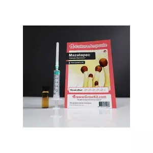 Mazatapec Culture Ampoule