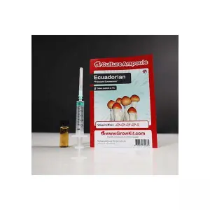 Ecuadorian Culture Ampoule