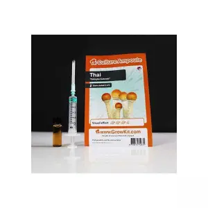 Thai Culture Ampoule