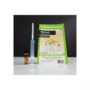 Mexican Culture Ampoule