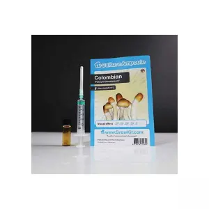 Colombian Culture Ampoule