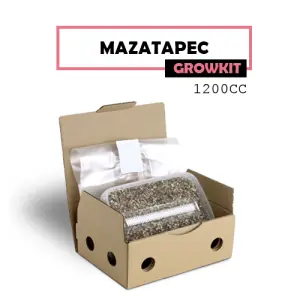 Mondo Grow Kit Mazatapec