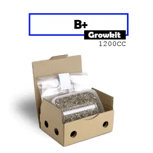 Mondo Grow Kit B+