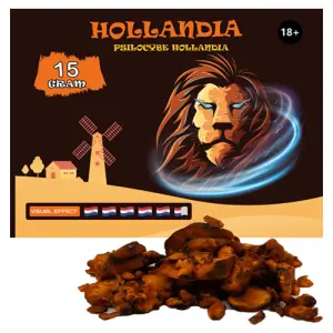Psilocybe Hollandia Truffles