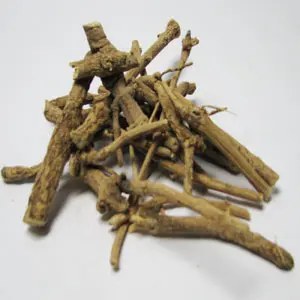 African Dream Root (Silene Capensis)