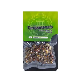 Tampanensis Truffles