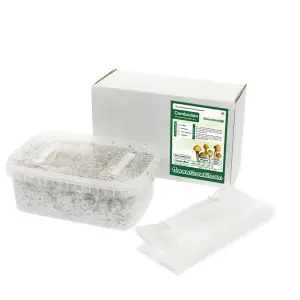 Cambodian All in one Growkit 