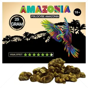 Psilocybe Amazonia Truffles