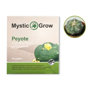 Peyote seeds (Lophophora Williamsii)