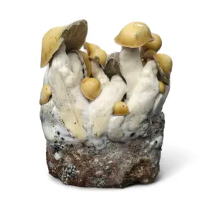 Mac Galactic XL Mushroom Grow Bag