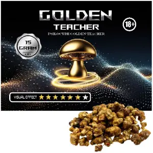 Psilocybe Golden Teacher Truffles