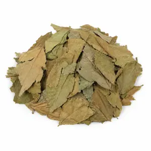 Chaliponga (Diplopterys cabrerana) – 50 grams