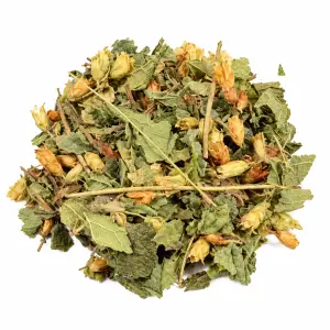 Dream Herbs (Calea zacatechichi) Chopped – 50 grams