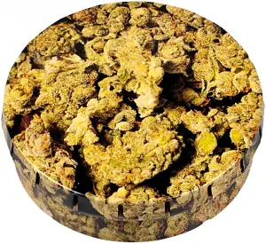 Click-Clack Box (Ø 5.5 cm) Buds