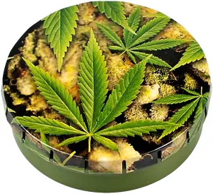 Click-Clack Box (Ø 5.5 cm) Buds + Leaves
