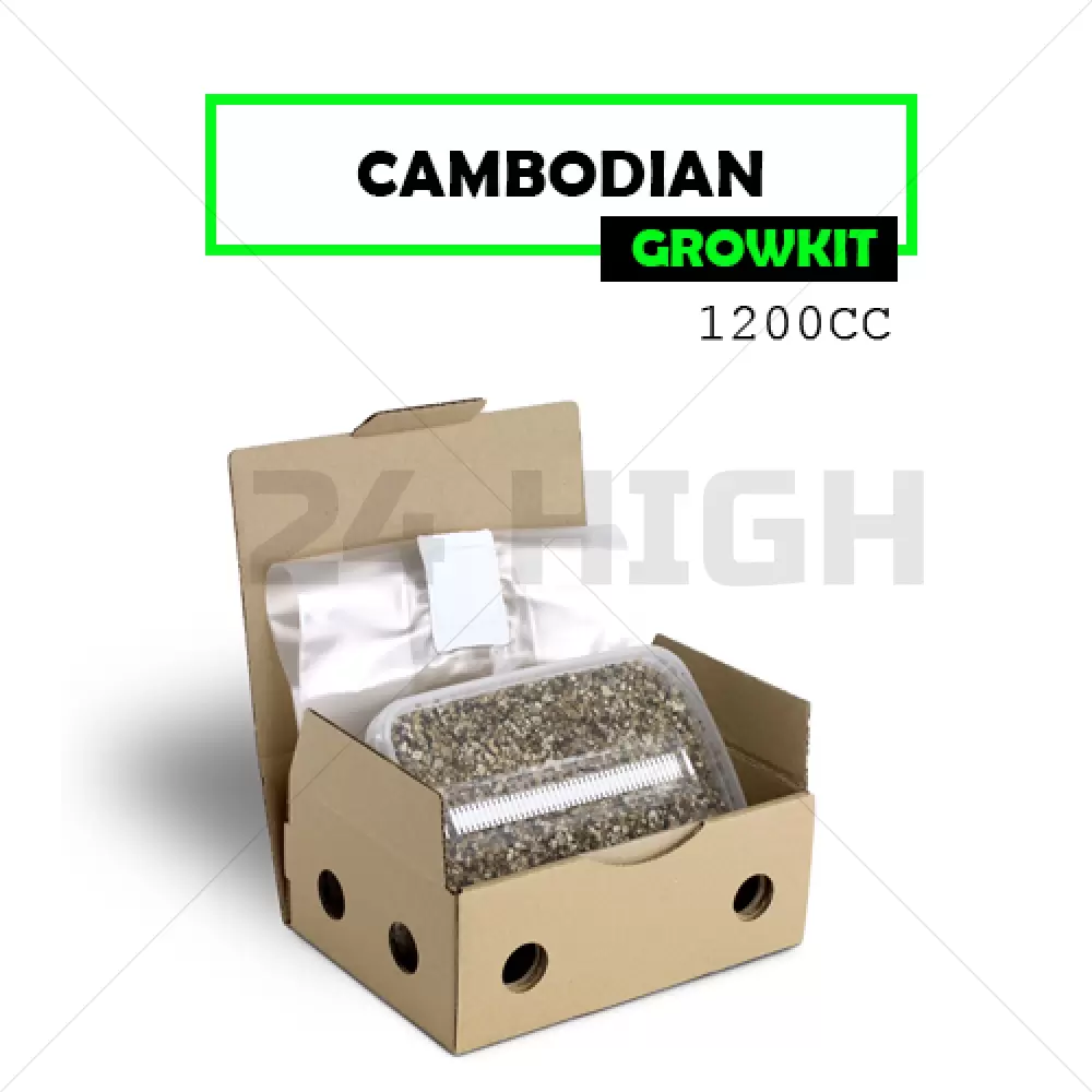 Mondo Grow Kit Cambodian