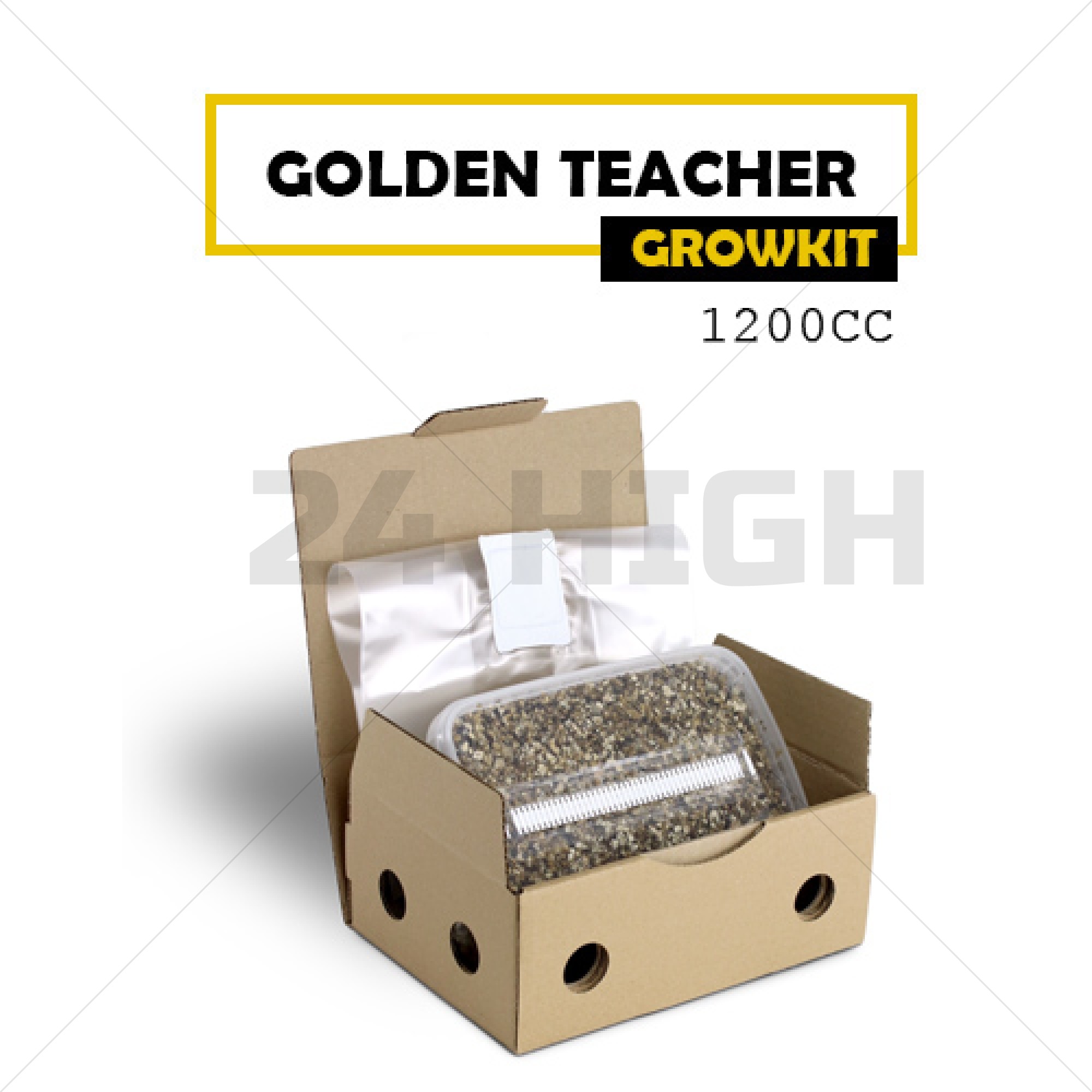 Mondo Grow Kit Golden Teacher