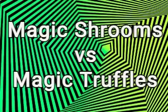 WHAT ARE THE DIFFERENCES BETWEEN MAGIC MUSHROOMS AND TRUFFLES?