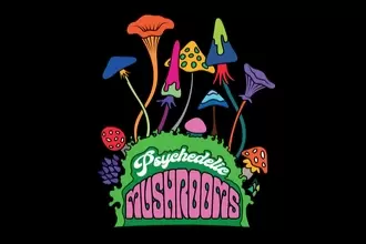 THE DISCOVERY OF PSYCHEDELICS