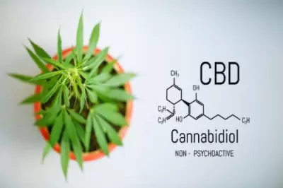 WHAT'S THE DIFFERENCE BETWEEN THE CANNABINOID THC AND CBD?