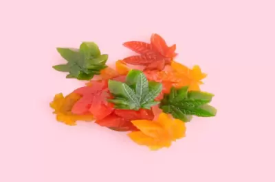 WHAT IS CBD CANDY AND WHAT DOES IT DO?