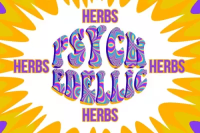 WHAT ARE HALLUCINOGENIC PSYCHEDELIC HERBS OR SEEDS?