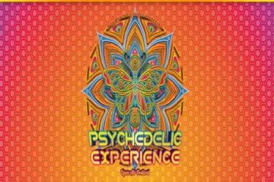 EVERYTHING YOU WANT TO KNOW ABOUT THE 4-DAY PSYCHEDELIC EXPERIENCE FESTIVAL 2023 IN GERMANY! 
