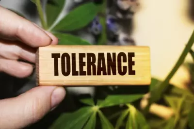 TOLERANCE TO PSYCHEDELICS: WHY DO I NOT FEEL THE EFFECTS OF MAGIC MUSHROOMS OR TRUFFLES?