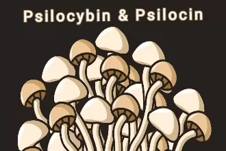 WHAT ARE PSILOCYBIN AND PSILOCIN?